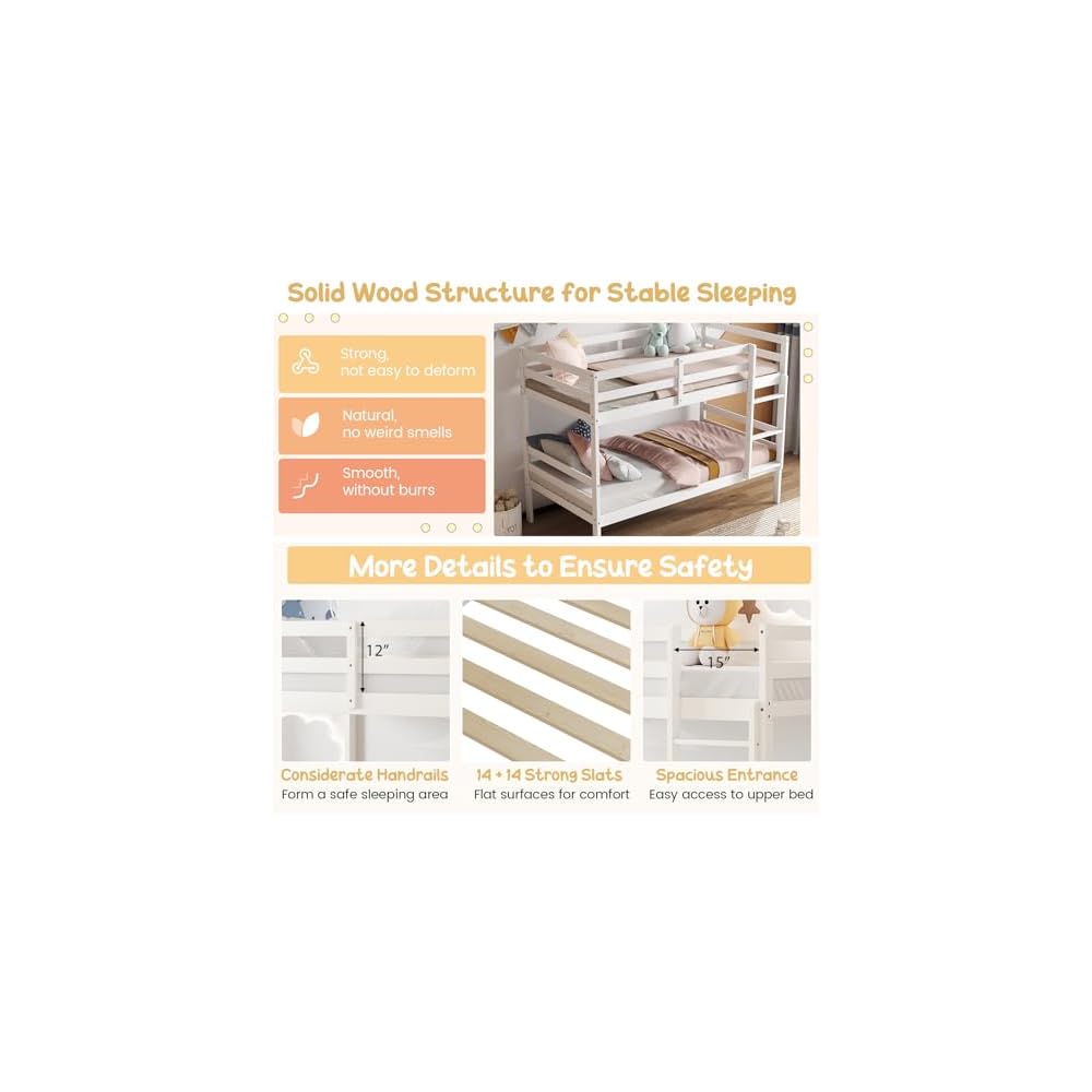 Bunk Bed Twin Over Twin White, Solid Wood Bunk Bed with Sturdy Ladder & 12 Inch Safety Guard Rails, Twin Size Wood Bed Frame for Dormitory, No Box Spring Needed, Bunk Beds for Kids Teens